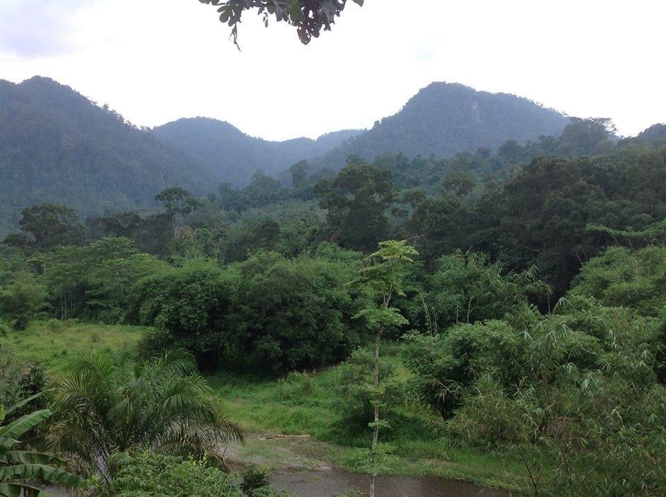 Batu Kapal Jungle Houses Hotel Berastagi Exterior foto